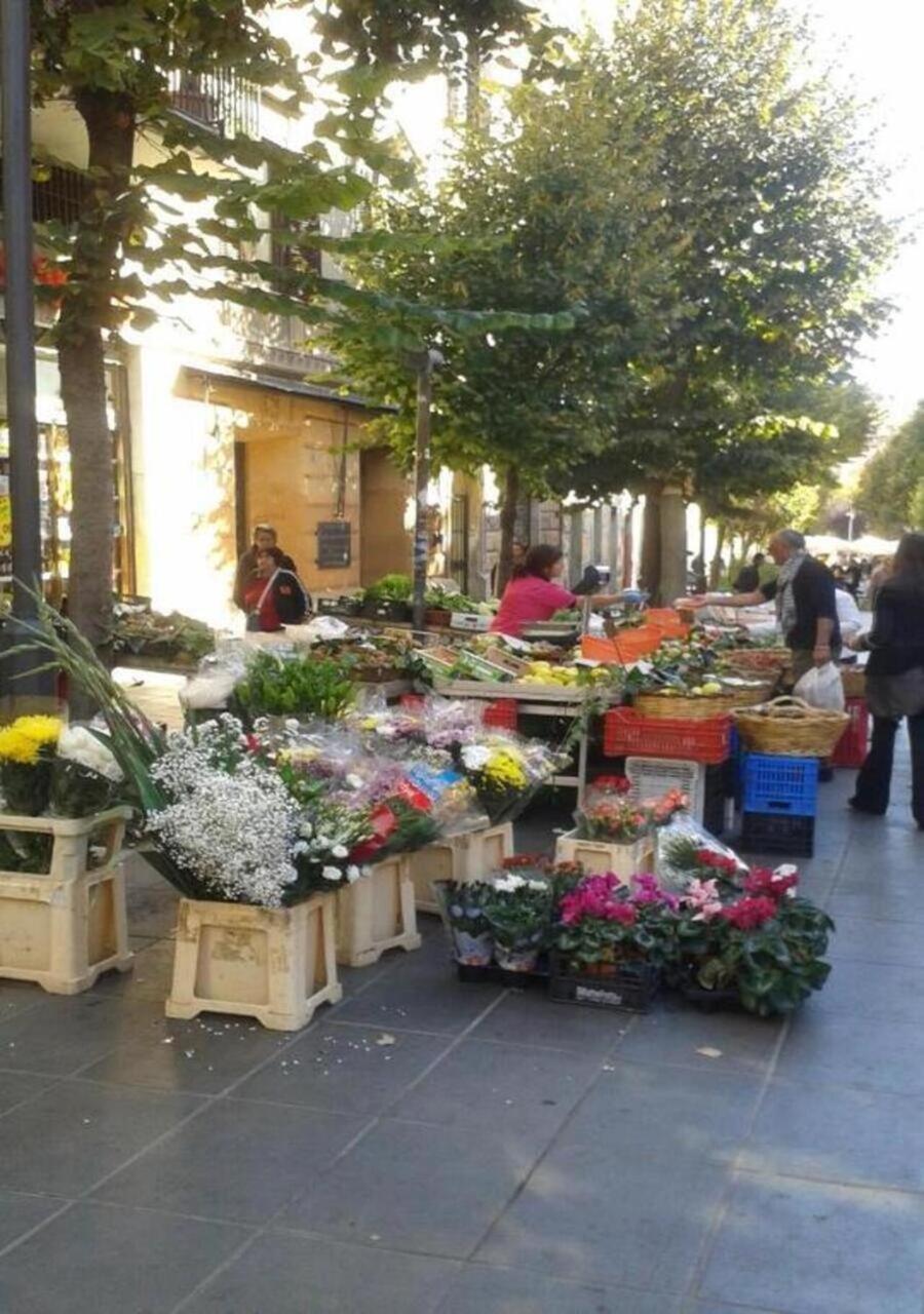 Apartamento La Casa Viola Roma